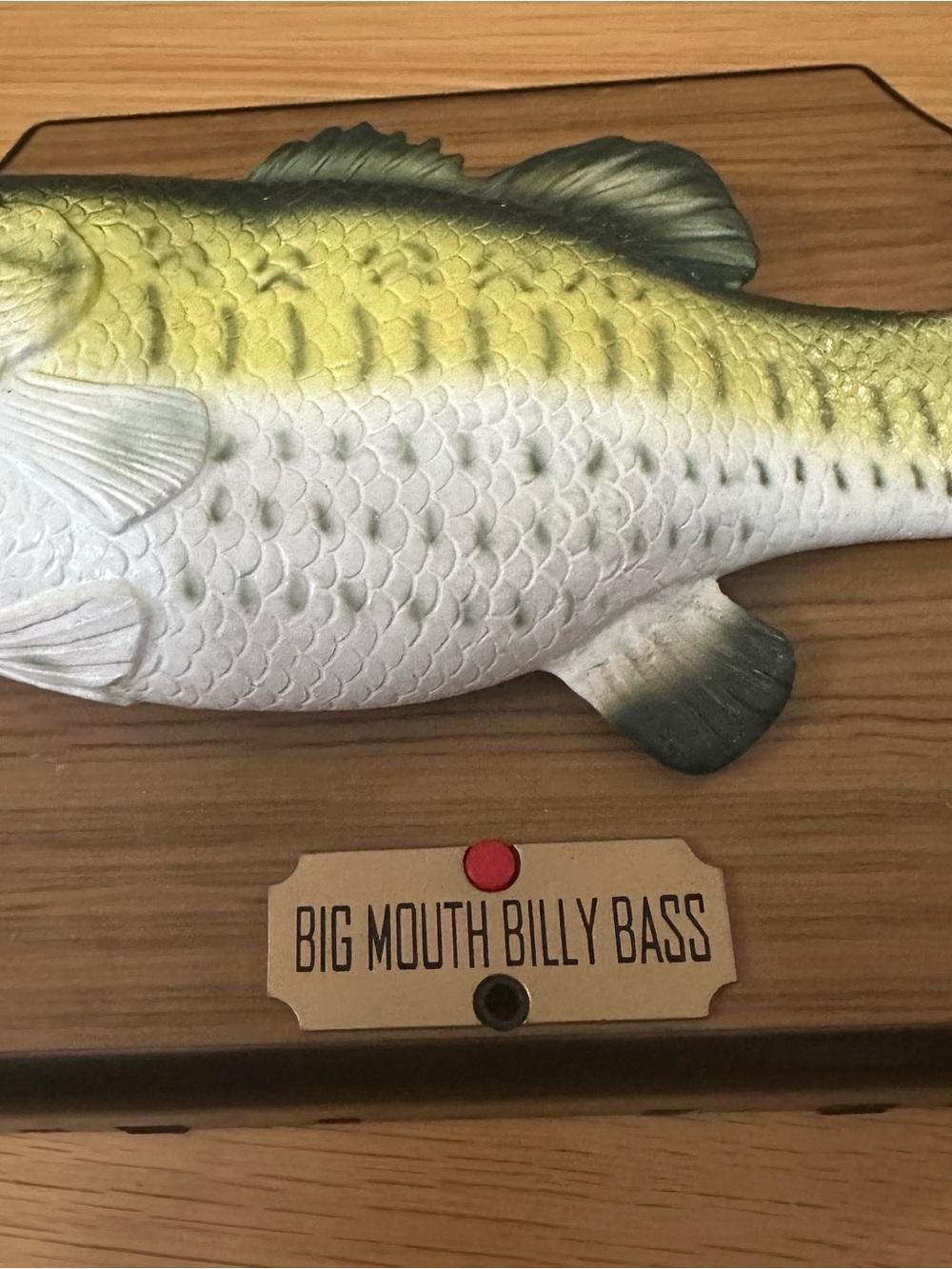 New Big Mouth Billy Bass Fish Wall Plaque - Green and White